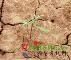 2010年考研英语大作文预测第一期