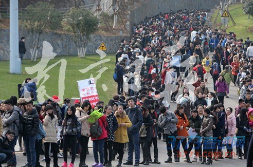 2015年高考艺术类校考拉开大幕,南京艺术学院报名今天(1月20日)启动。