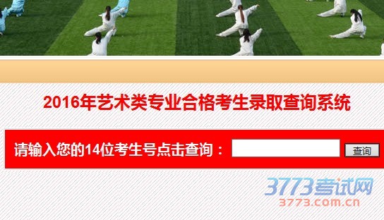 2016年艺术类专业合格考生录取查询系统