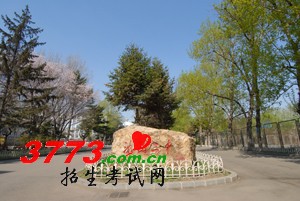 校门前景观