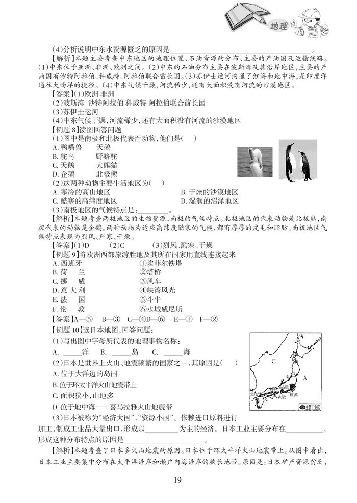 dl19.jpg