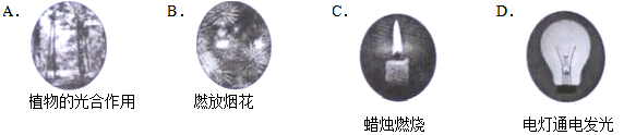 ϳ2014пۣѧ֣⼰𰸽Word棩