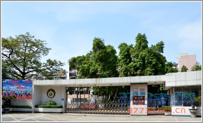 学校正门