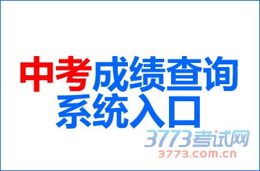 中考成绩查询