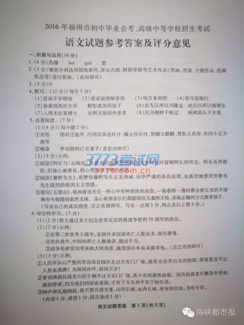 640.webp (6)
