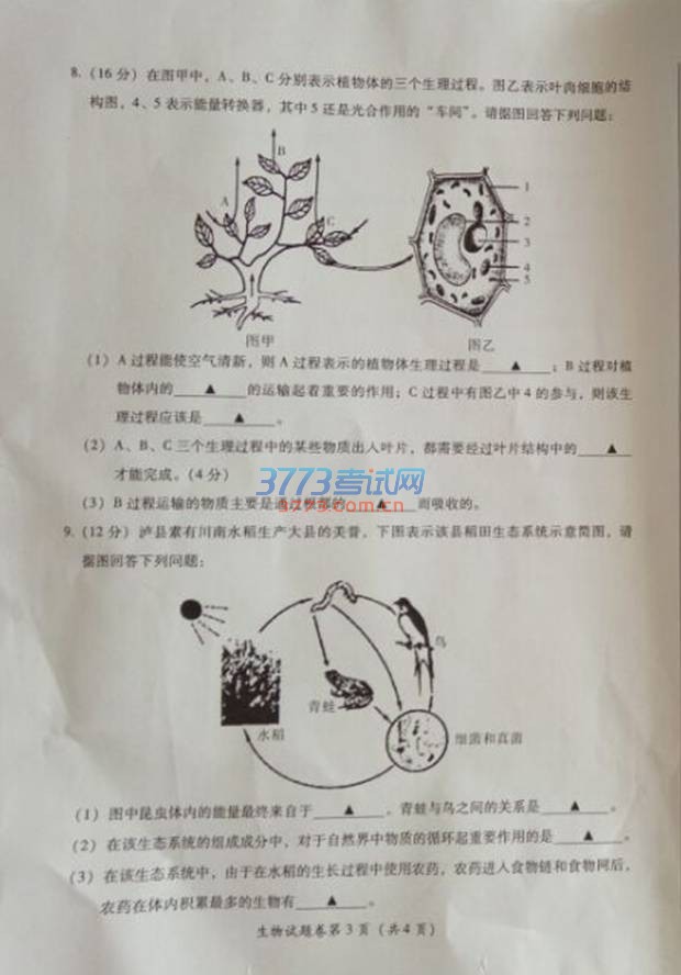 2016п⣨ͼƬ棬޴𰸣