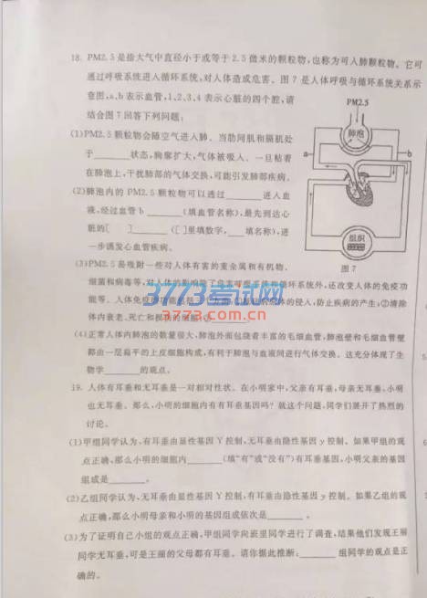 呼和浩特市2016年初二结业考试生物试题(图片版,含答案)