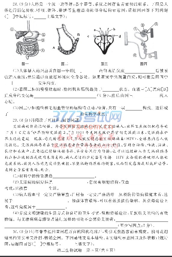 ⼰𰸣ԿĿ