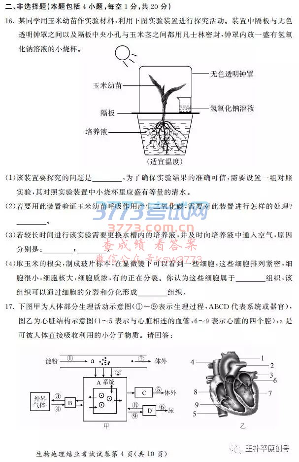 2017ͺسῼ⼰