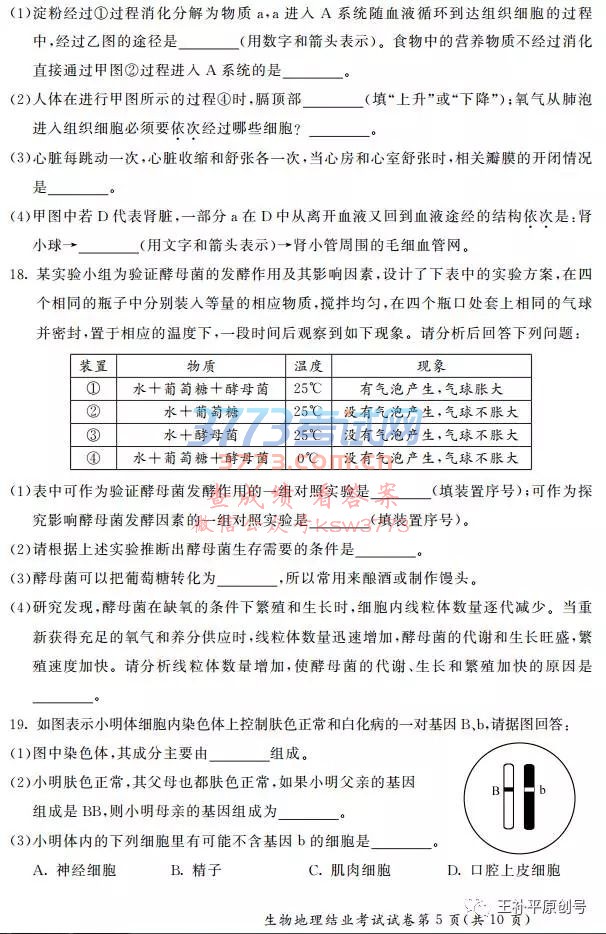 2017ͺسῼ⼰