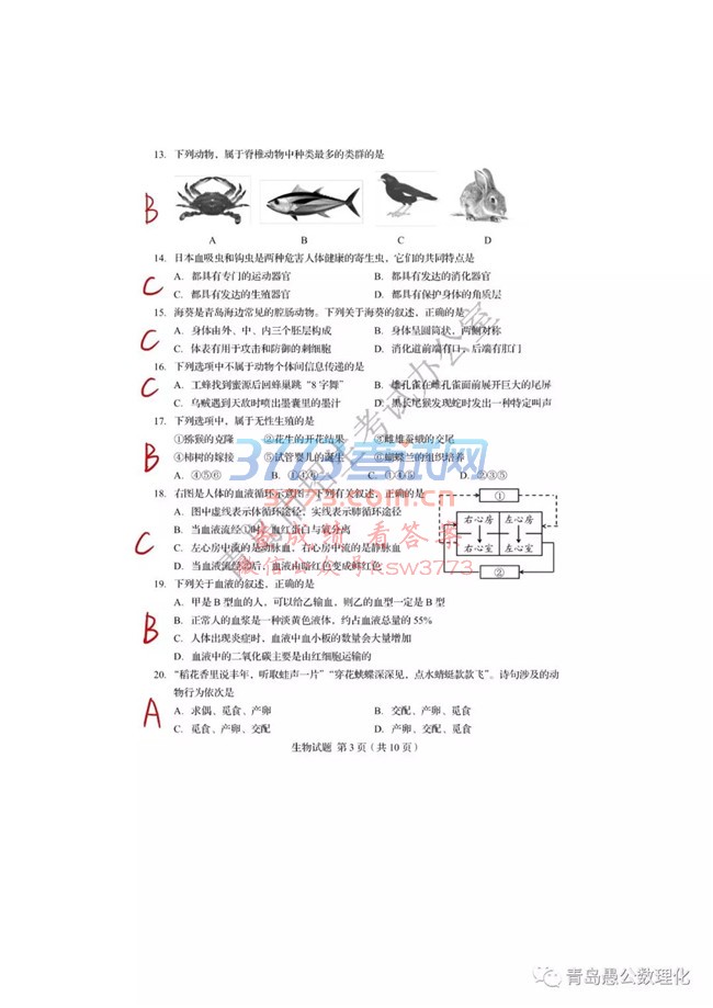 2018ൺп⼰𰸷