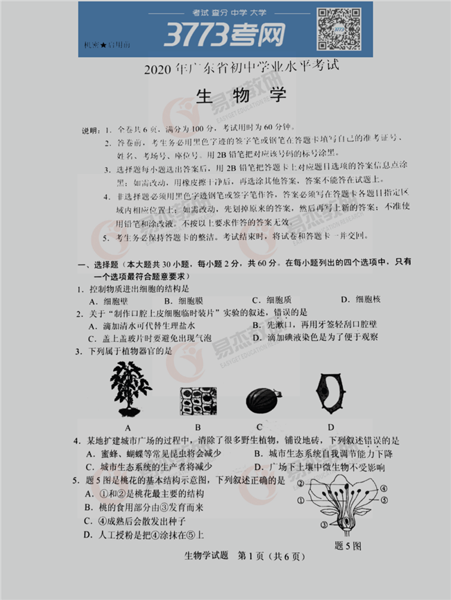 2020㶫ῼ⼰ֱ׼