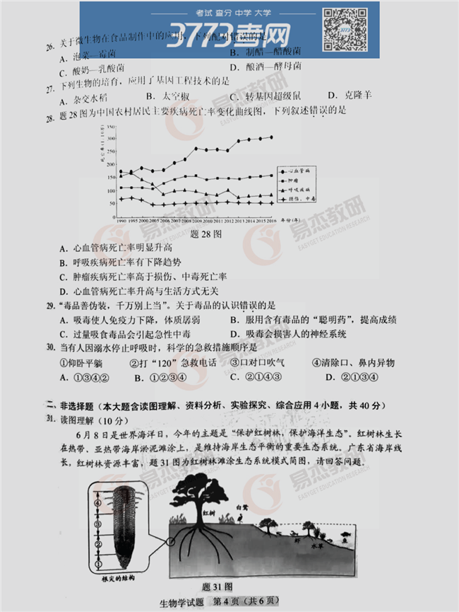 2020㶫ῼ⼰ֱ׼