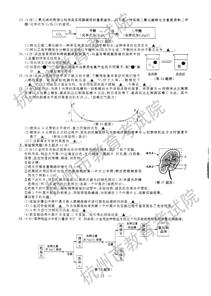2021㽭пѧ⼰𰸣PDF棩