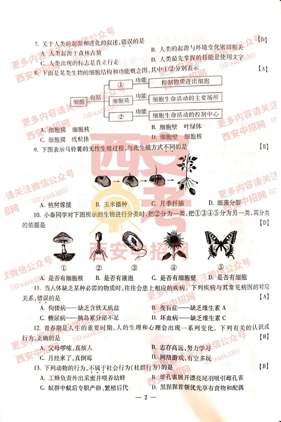 2021꼶⼰