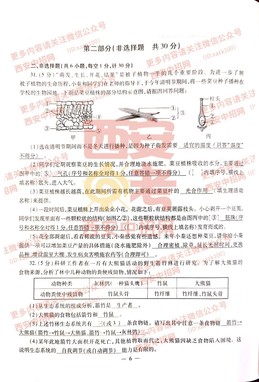 2021꼶⼰