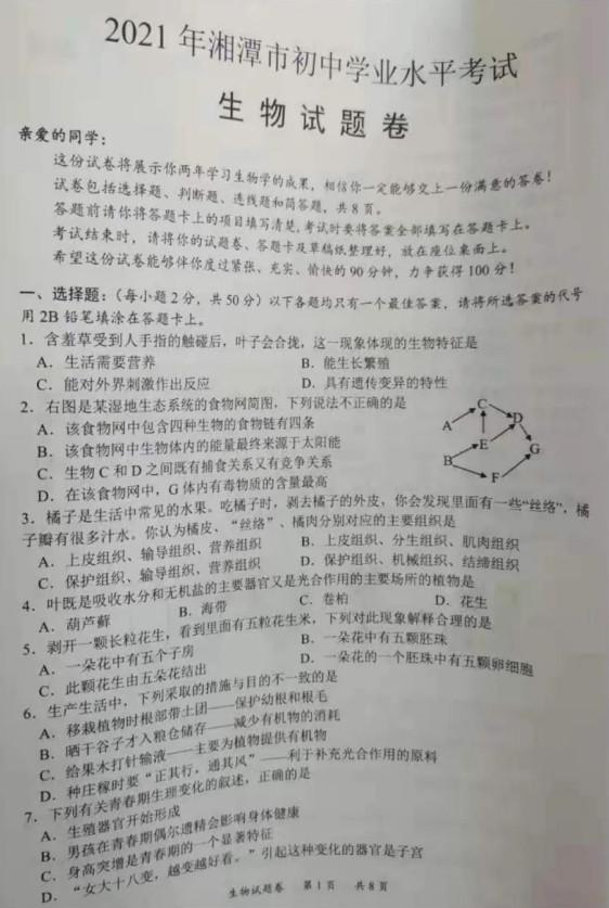 2021̶п⼰𰸣PDF棩