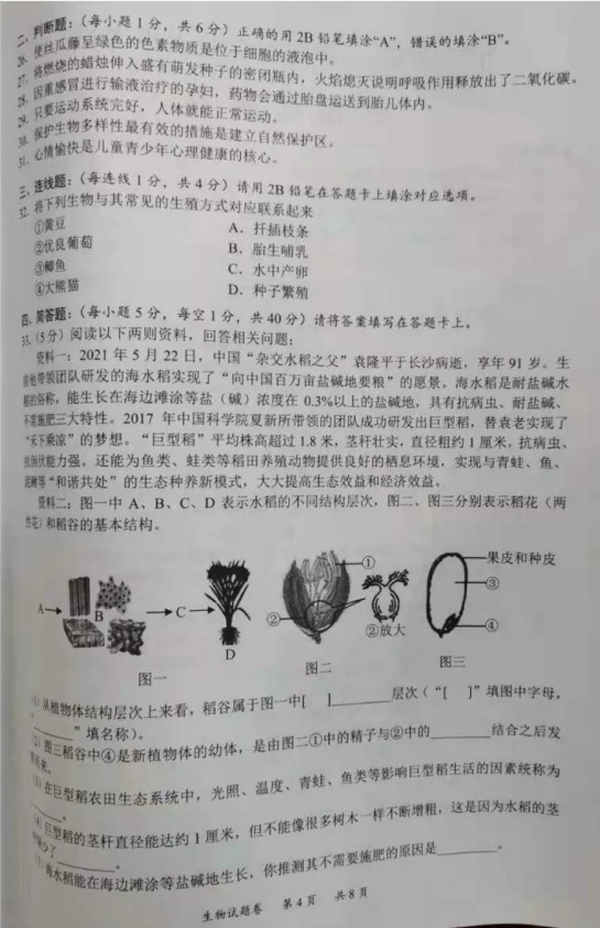 2021̶п⼰𰸣PDF棩