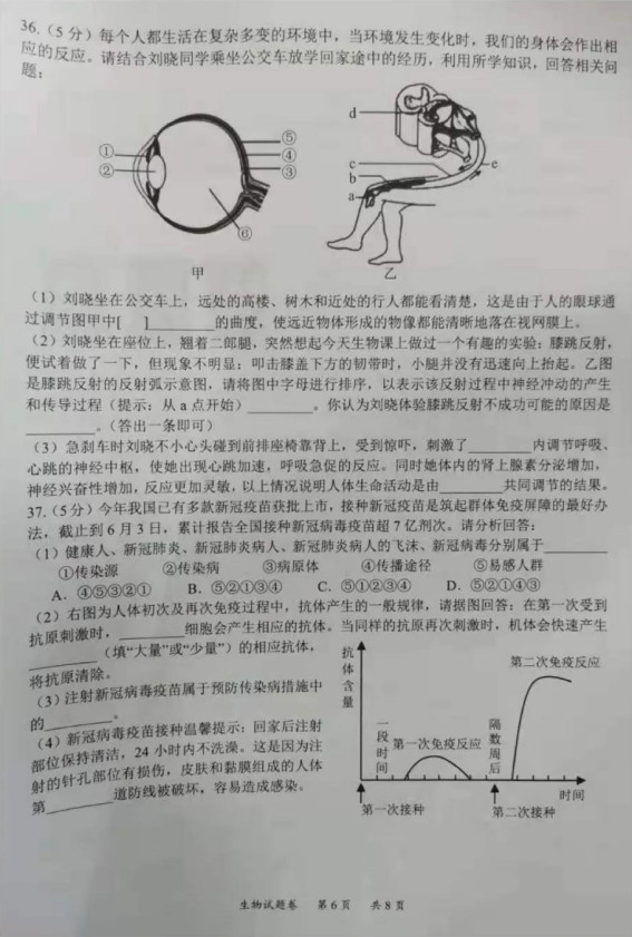 2021̶п⼰𰸣PDF棩